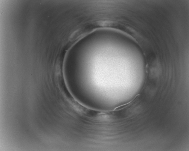 X0000081600620200701221138