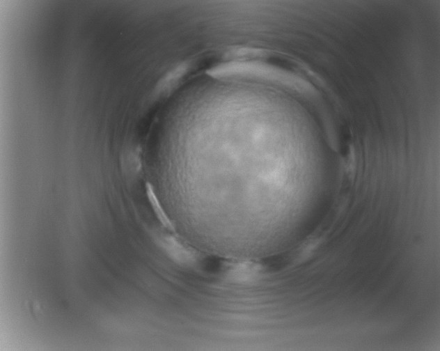 X0000081600621200701221138