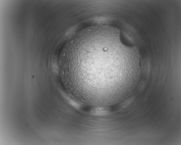 X0000081600622200701221138