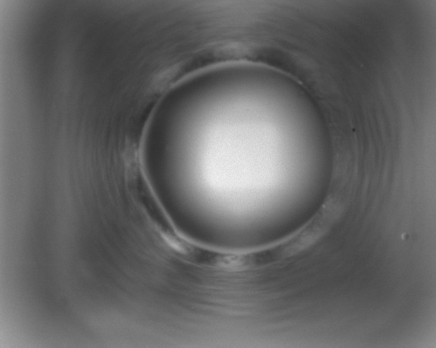 X0000081600624200701221138