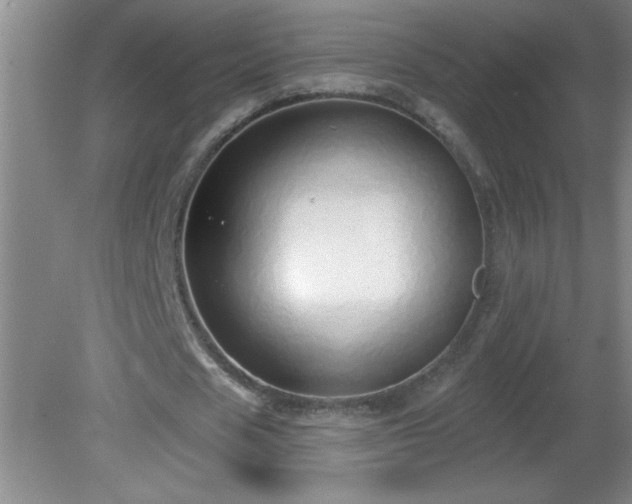 X0000081600625200701221137