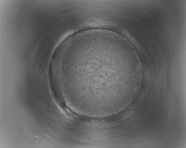 X0000081600626200701221137