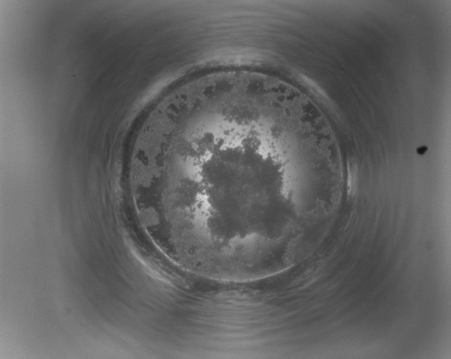 X0000081600627200701221137