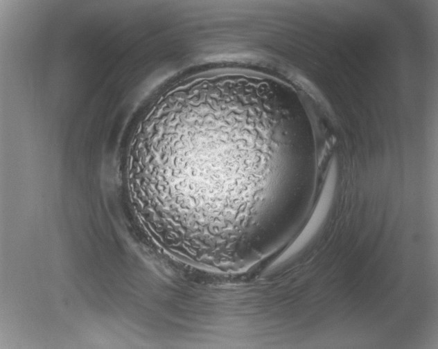 X0000081600628200701221137