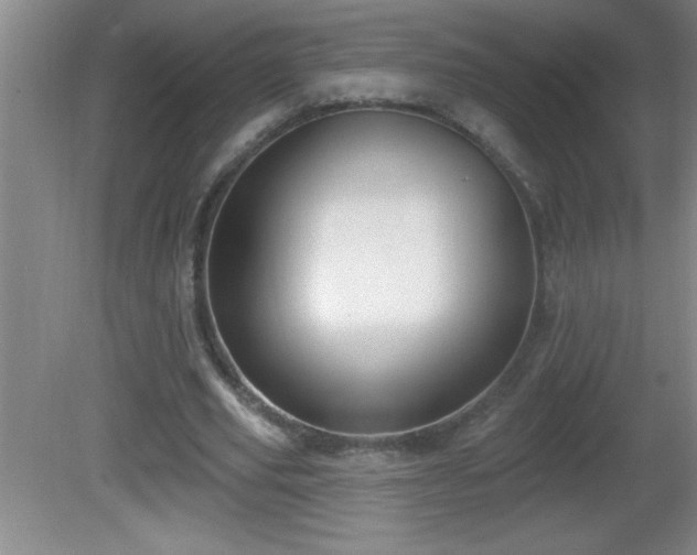 X0000081600629200701221137