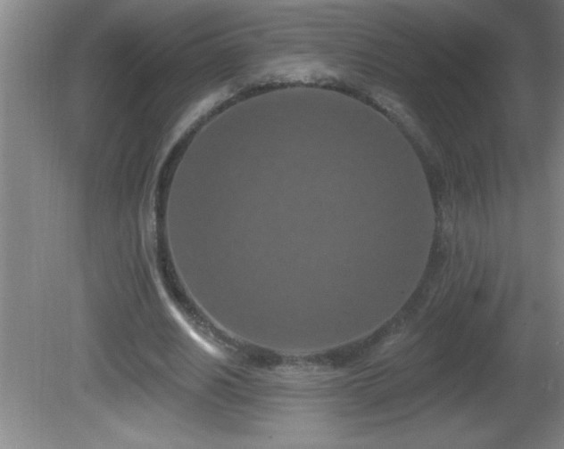 X0000081600630200701221137