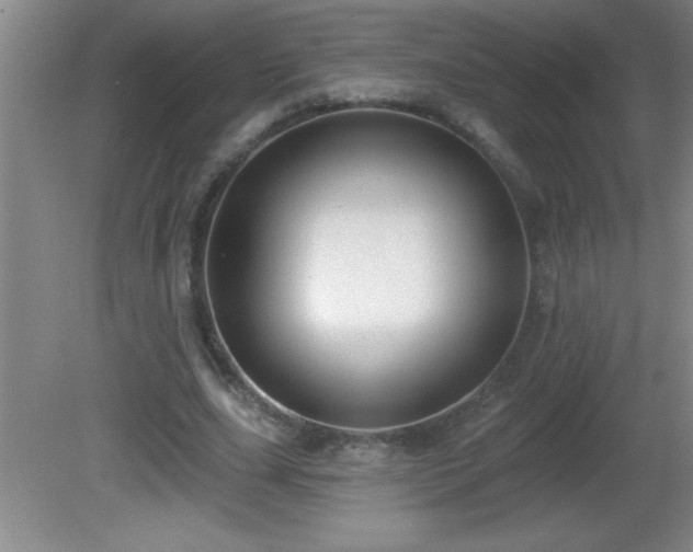 X0000081600631200701221137