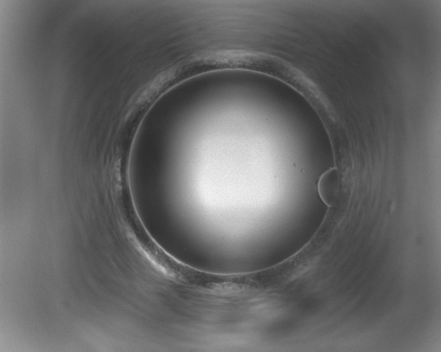 X0000081600633200701221137