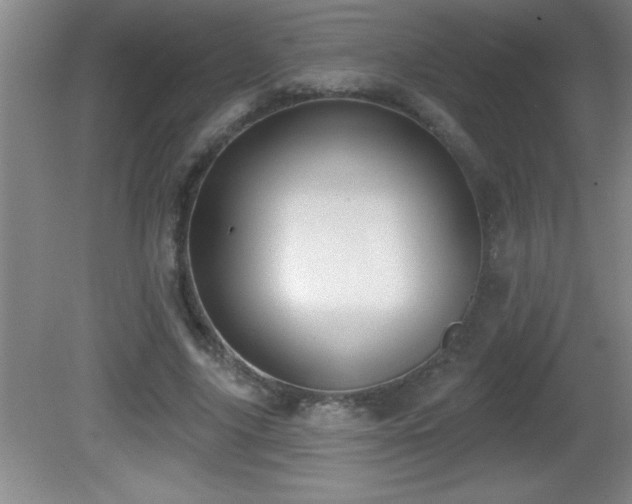 X0000081600635200701221137