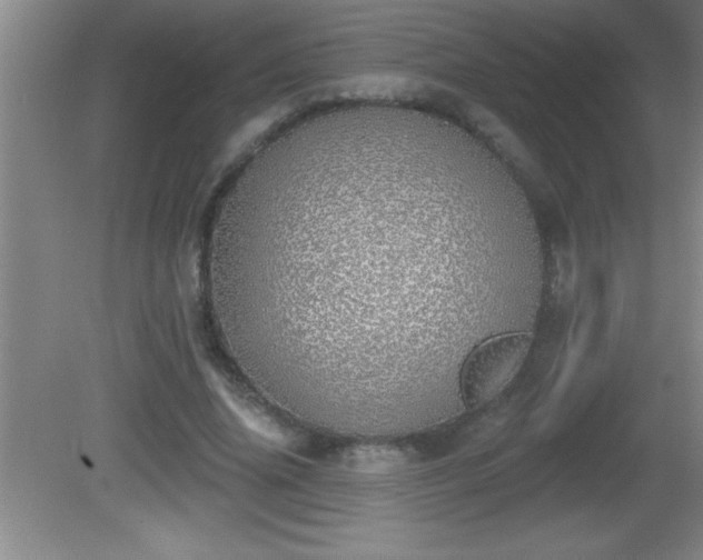 X0000081600636200701221137