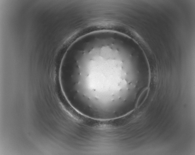 X0000081600637200701221137