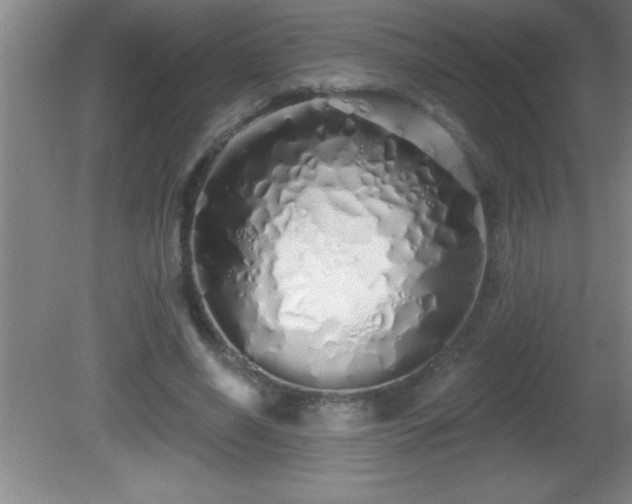 X0000081600638200701221137