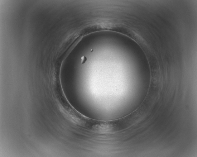 X0000081600639200701221137