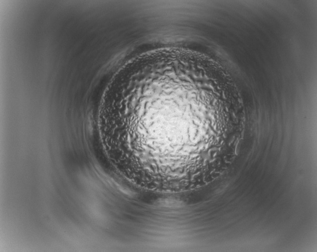 X0000081600644200701221137