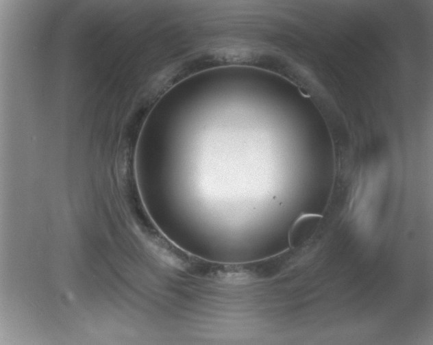 X0000081600645200701221137