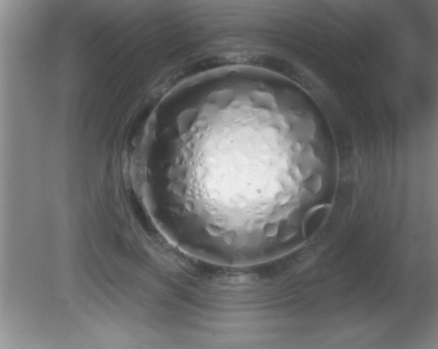 X0000081600646200701221137