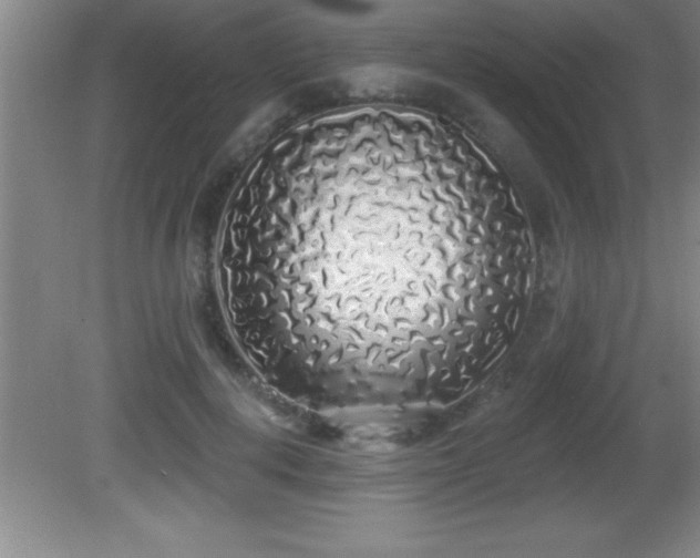 X0000081600648200701221137