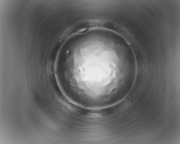 X0000081600649200701221137