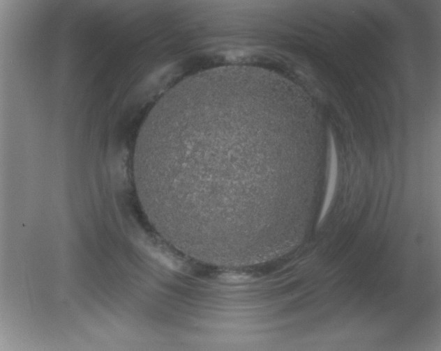 X0000081600650200701221137