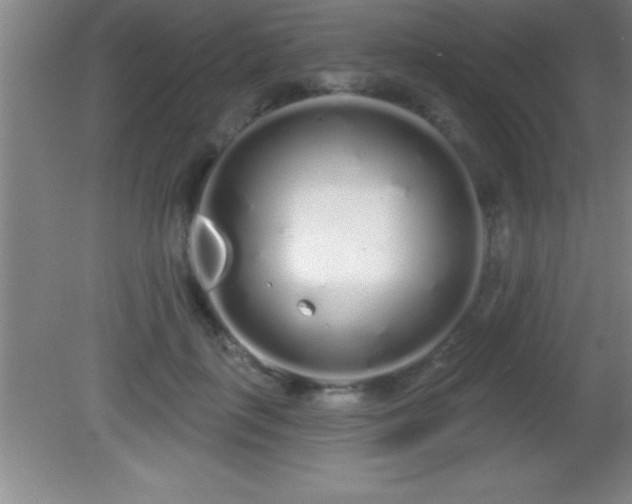 X0000081600651200701221137