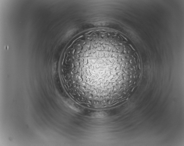 X0000081600652200701221138