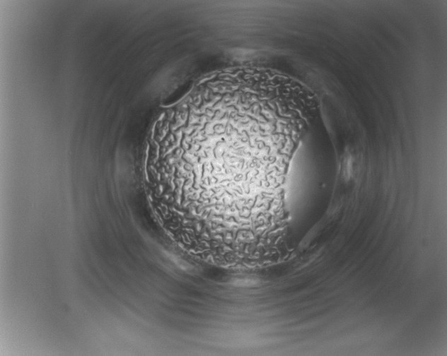 X0000081600653200701221138