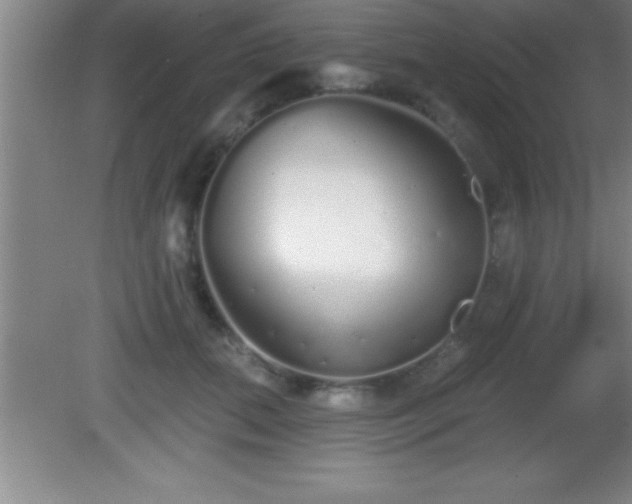 X0000081600655200701221138