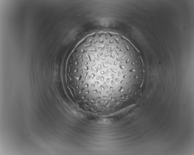 X0000081600656200701221138