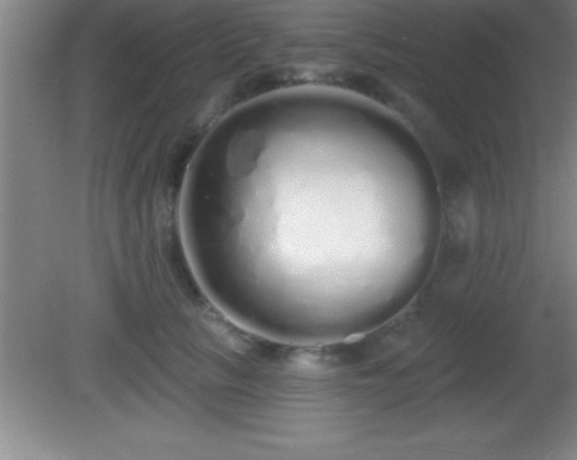 X0000081600657200701221138