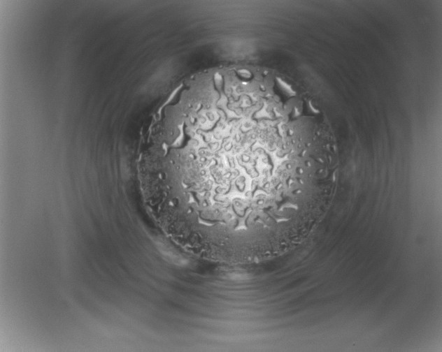 X0000081600658200701221138