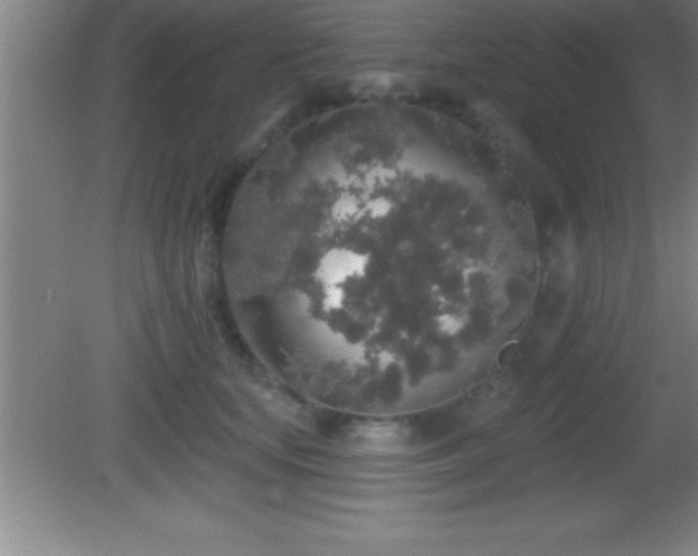 X0000081600659200701221138