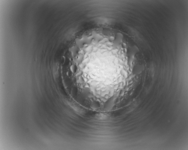 X0000081600660200701221138