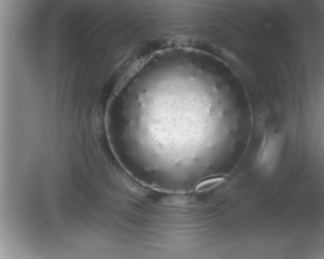 X0000081600661200701221138