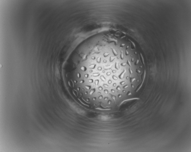 X0000081600662200701221138