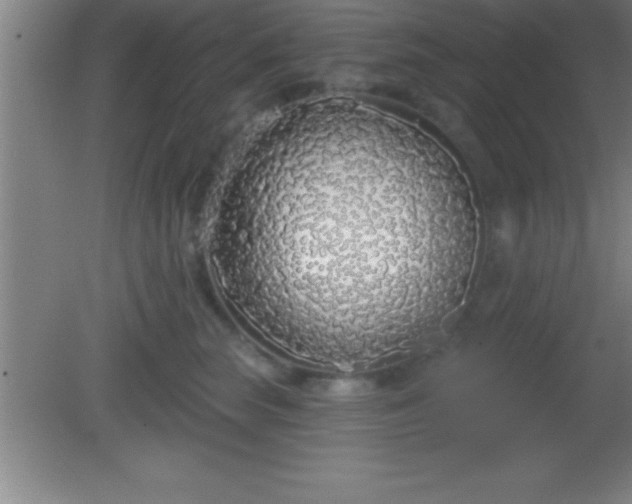 X0000081600663200701221138