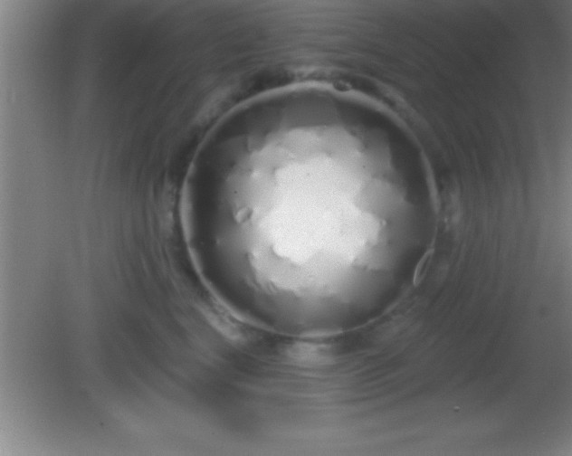 X0000081600664200701221138