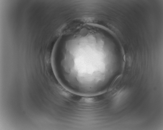 X0000081600665200701221138