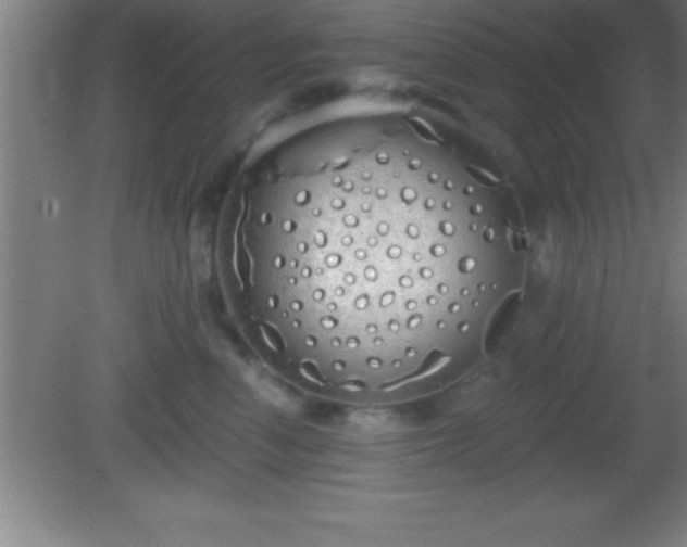 X0000081600666200701221138