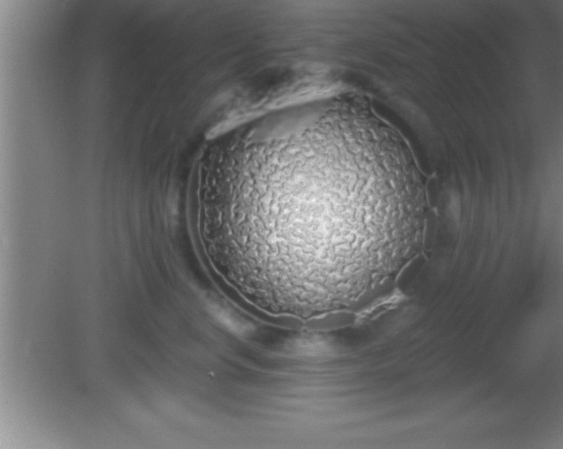 X0000081600668200701221138