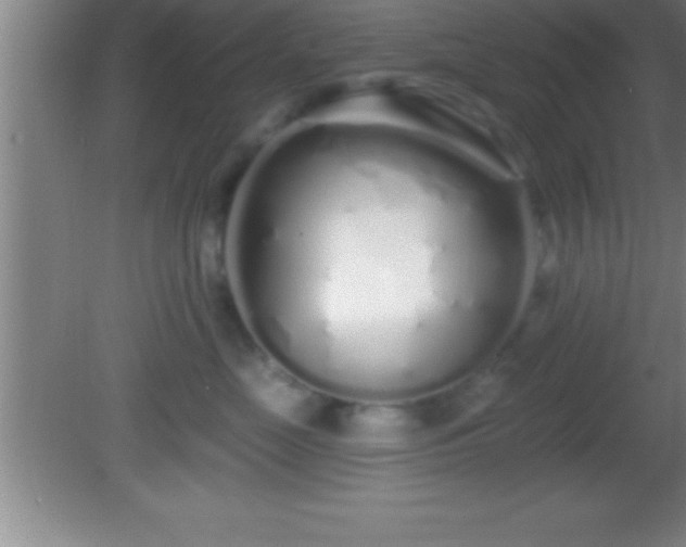 X0000081600669200701221138