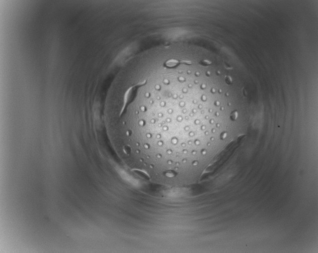 X0000081600670200701221138