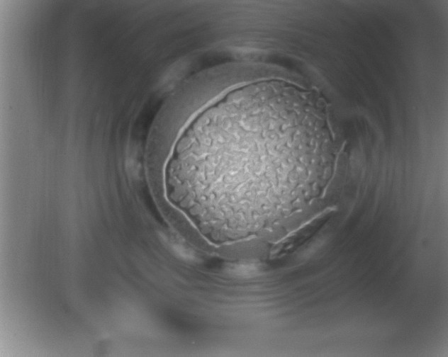 X0000081600671200701221138