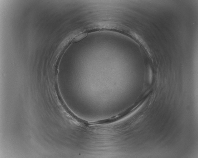 X0000081600673200701221137