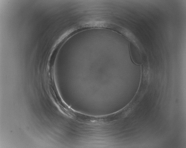 X0000081600674200701221137