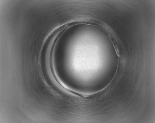 X0000081600676200701221137