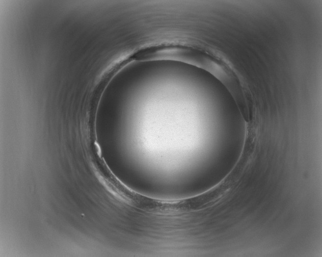 X0000081600677200701221137