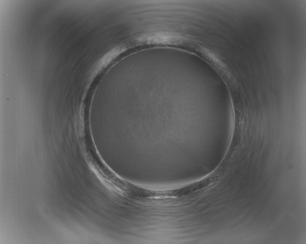 X0000081600678200701221137