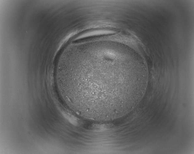 X0000081600679200701221137