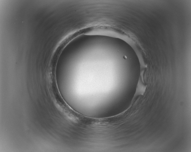 X0000081600680200701221137