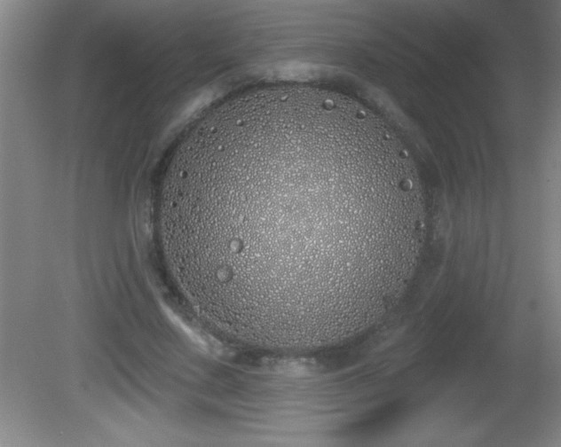 X0000081600683200701221137